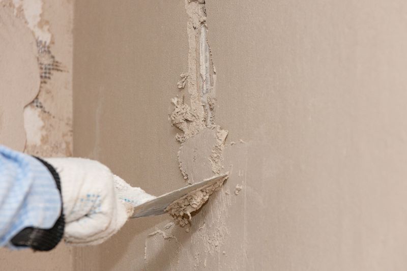 Interior Stucco Repair in Marin County, CA